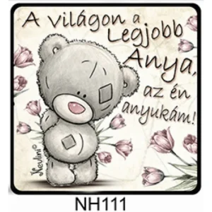 Hűtőmágnes - A világon a legjobb Anya