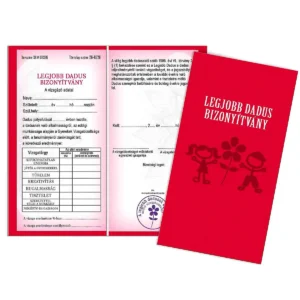 Vicces Bizonyítvány – Legjobb dadus