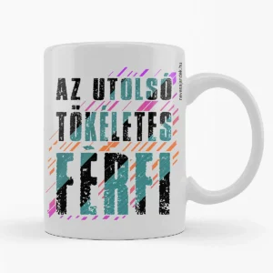 Vicces bögre – Az utolsó tökéletes férfi