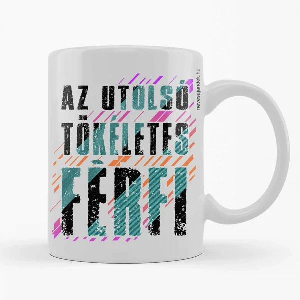 Vicces bögre – Az utolsó tökéletes férfi