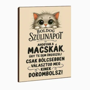 Vicces Feliratos Hűtőmágnes – Boldog Szülinapot – 13×18 cm – Fa–műanyag – Humor és Ajándék Szülinapra