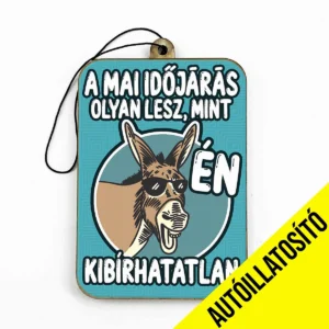 Vicces autóillatosító A mai időjárás