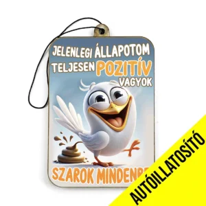 Vicces autóillatosító Jelenlegi állapotom